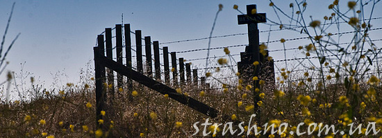 Дочь на могиле отца