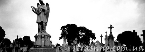 Вид из окна на кладбище Вид из окна на кладбище