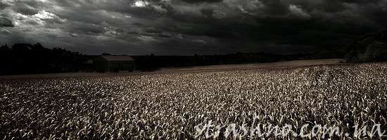 Ночные посещения кладбища