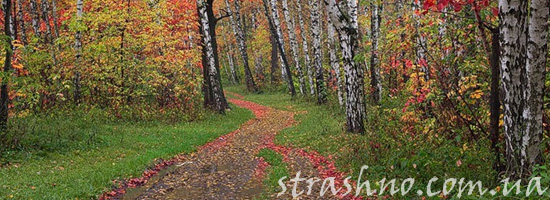 Странная история о призраке на лесной дороге Странная история о призраке на лесной дороге