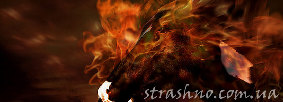 Мистический топот в лесу Мистический топот в лесу