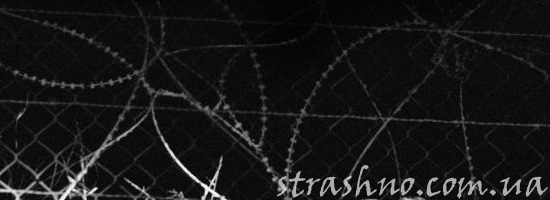 Огромный страшный монстр в воинской части Огромный страшный монстр в воинской части