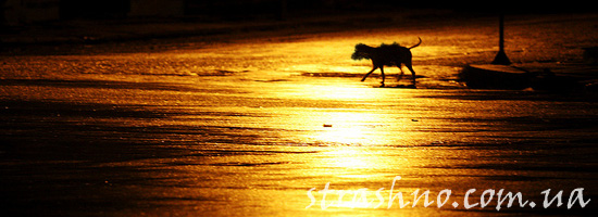 Неизвестный монстр