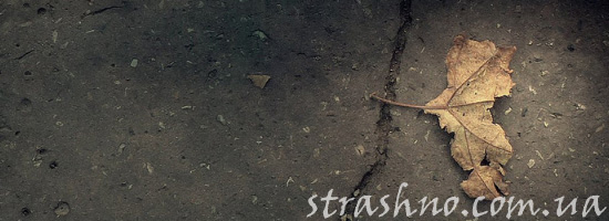 Мистическая история о бабушкином проклятии Мистическая история о бабушкином проклятии