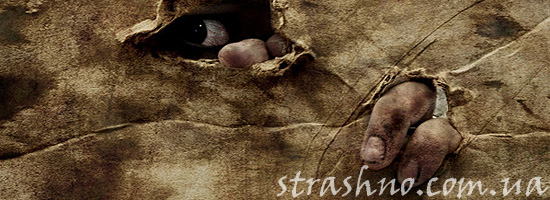 Мистические исчезновения в погребе Мистические исчезновения в погребе