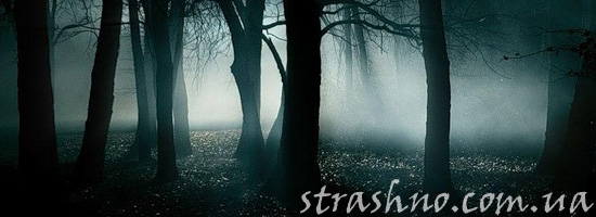 Страшилка про хозяина леса