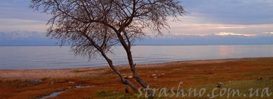 Происшествие на заброшенном пляже Происшествие на заброшенном пляже