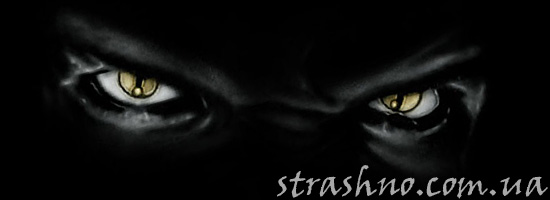 Глаза из темноты в лагере Глаза из темноты в лагере