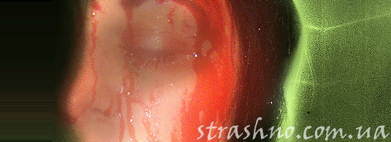 Детская сумбурная страшилка