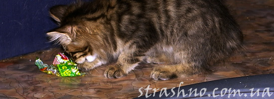 Конфеты для домового