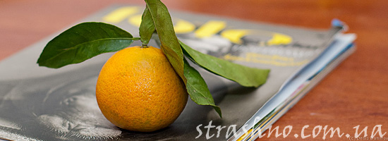 Странное совпадение с запахом мандарин