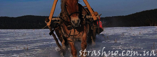 Мистический рассказ о Рождественских санях