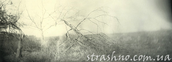 Мистика после смерти дяди