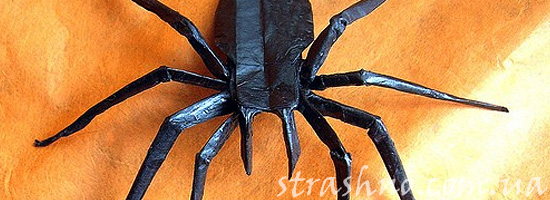 Мистический паук за стеклом