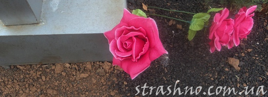 Розы на кладбище