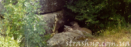 Нечто страшное в кустах Нечто страшное в кустах