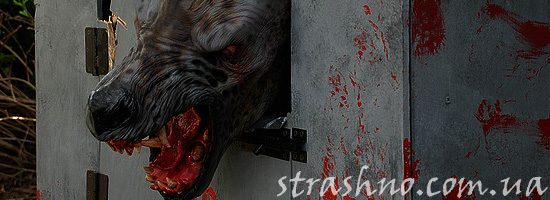 Страшная мистическая собака Страшная мистическая собака