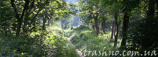 Детская страшилка о призраках Детская страшилка о призраках