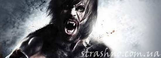 Рассказ про оборотня
