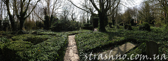 Страшный поход за яблоками через кладбище Страшный поход за яблоками через кладбище