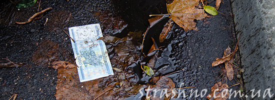 Упавшая купюра