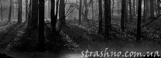 Огни в страшном лесу