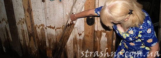 История про страшных существ в подвале