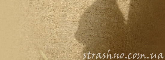 Призрак погибшего кота Призрак погибшего кота