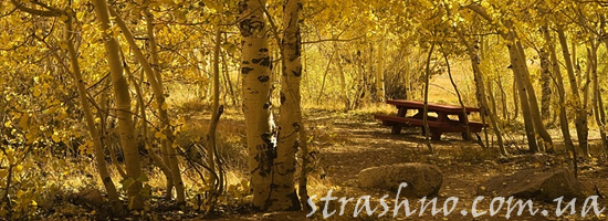 Начало страшной истории