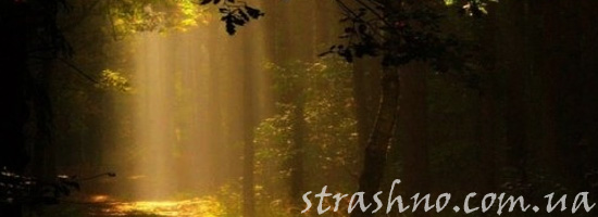 Страшилка о призраке девушки в саду
