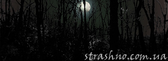 Страшилка про катакомбы