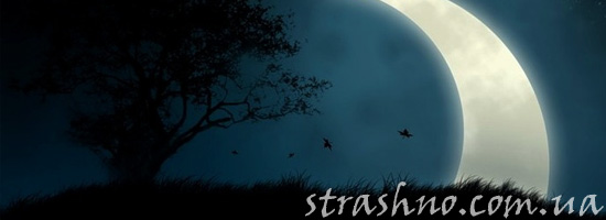 Встречи с умершими во сне