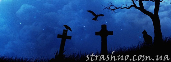 Страшные зомби и кошки