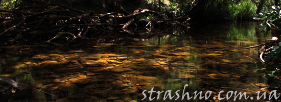 Светящаяся река