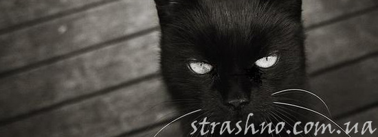 Мистика на даче