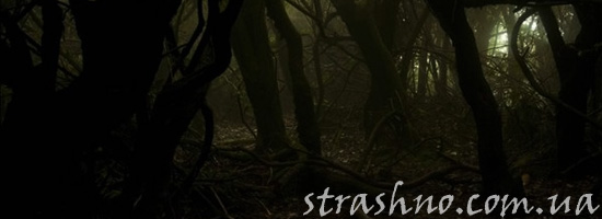 Длинная страшная история