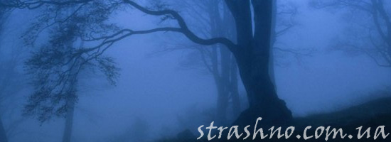 Мистическая история из прошлого