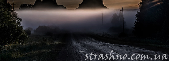 Жуткий лесной туман