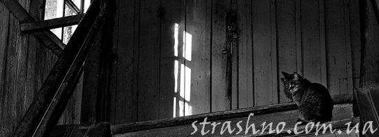 Полтергейст в старом доме Полтергейст в старом доме