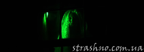 Лицо в окне Лицо в окне