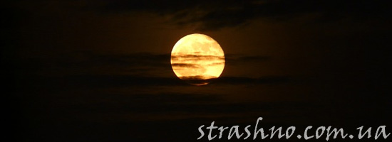 Мистическая история Мистическая история