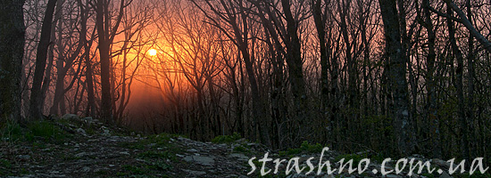 Страшилка о нападении лешего