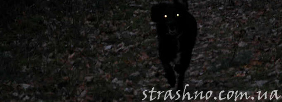 Страшилка о даче