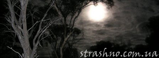 Страшилка для лагеря о духах