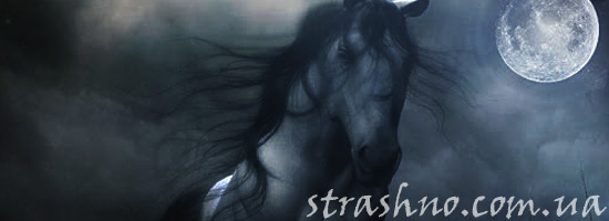 Деревенская легенда о белой лошади Деревенская легенда о белой лошади