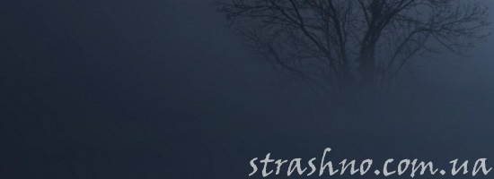 Мистический туман