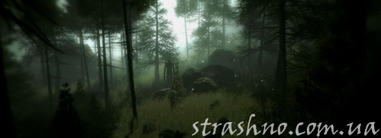 Мистика в лесу
