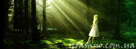 Девочка на опушке леса