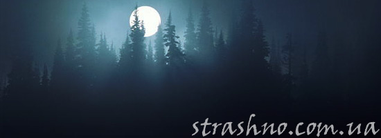 Страшный лес