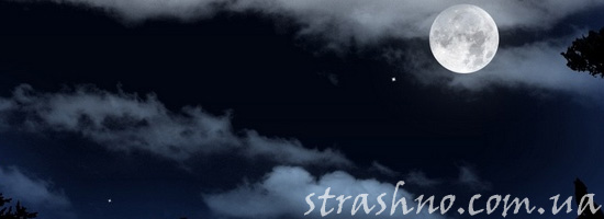 Описание нападения неведомого животного